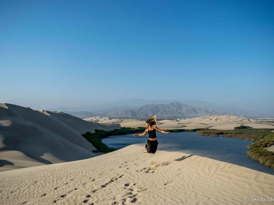 From Paracas: Mini Buggy Tour & Sandboarding at Oasis - The Oasis of Costa Rica: Lagoon Time in the Middle of Dunes
