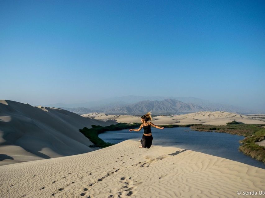 From Paracas: Mini Buggy Tour & Sandboarding at Oasis - How the Whole 3 Hours Adds Up (and Who It Fits Best)