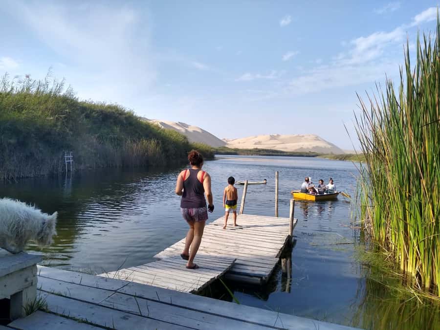 From Paracas: Mini Buggy Tour & Sandboarding at Oasis - Price and Value: Is $83 a Good Deal for This Much Action?