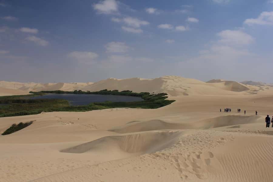 From Paracas: Mini Buggy Tour & Sandboarding at Oasis - What’s Included vs. What You Need to Plan