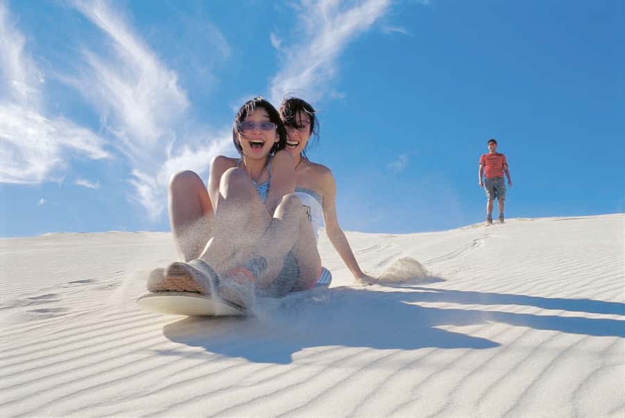 From Paracas: Mini Buggy Tour & Sandboarding at Oasis - Buggy Through the Desert: Real Adrenaline, Real Sand