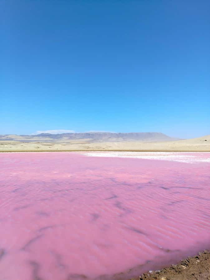 From Paracas: Paracas National Reserve Private Tour - Paracas National Reserve Private Tour: The Good Stuff Up Front