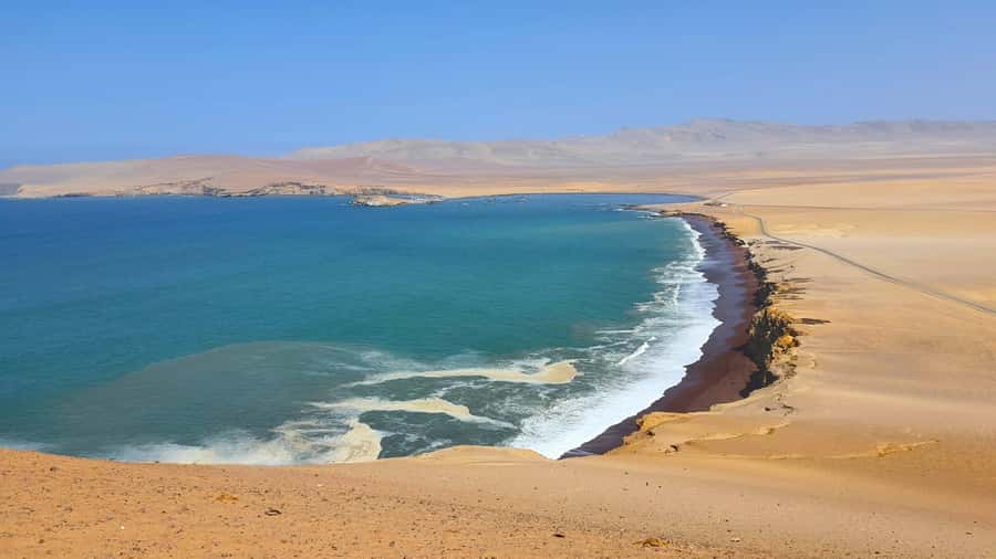 From Paracas: Paracas National Reserve Private Tour - Price and Value: What You Pay (and What You Still Need to Budget)