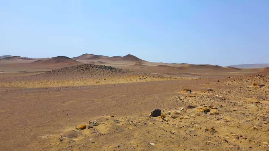 From Paracas: Paracas National Reserve Private Tour - A 3-Hour Paracas Circuit That Hits Birds, Sea Lions, and Geology