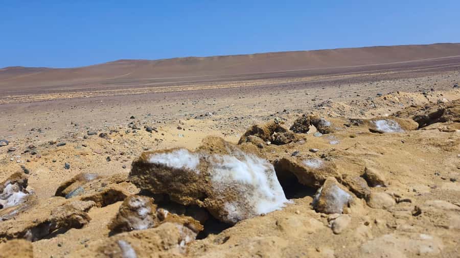 From Paracas: Paracas National Reserve Private Tour - Entering Paracas National Reserve: Desert, Islands, and Ocean in One View