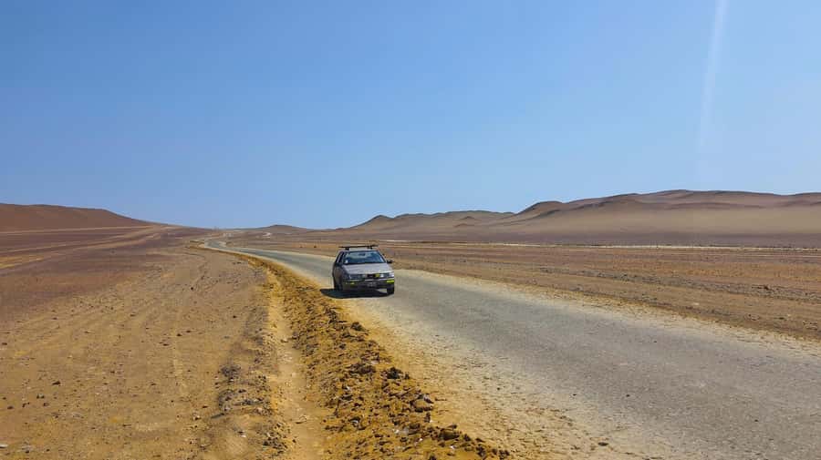From Paracas: Paracas National Reserve Private Tour - Wildlife Viewing That Actually Has You Looking for Clues