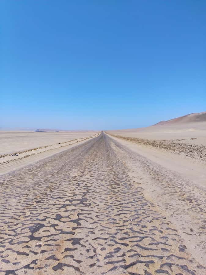 From Paracas: Paracas National Reserve Private Tour - The Visitor Center: Quick Context Before You See the Coast