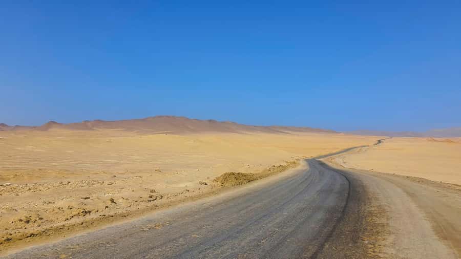 From Paracas: Paracas National Reserve Private Tour - Getting There: Hotel Pickup from Paracas or Pisco (and When It Costs Extra)