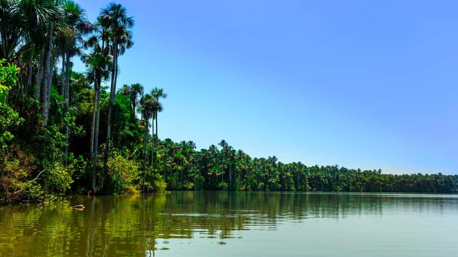 From Puerto Maldonado | Jungle hike + Sandoval Lake | - How the 9:00 AM pick-up turns into the southern Amazon rainforest