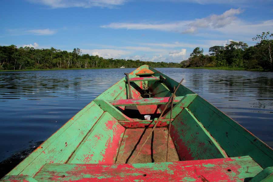 From Puerto Maldonado - Tambopata 4D/3N - Day 4 morning: the 30-meter canopy walkway and return to Puerto Maldonado