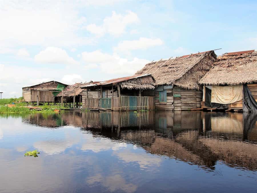 From Puerto Maldonado - Tambopata 4D/3N - Price and value: what $600 covers, plus the Tambopata Reserve fee