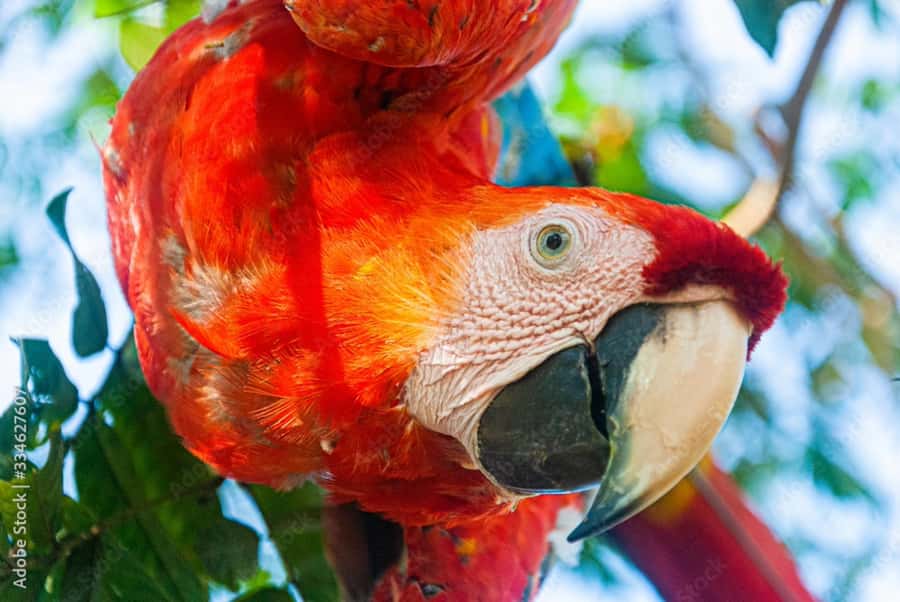 From Puerto Maldonado - Tambopata 4D/3N - Packing tips that actually matter in Madre de Dios