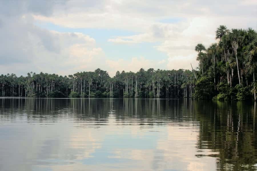 From Puerto Maldonado - Tambopata 4D/3N - Day 1: Monte Amazónico transfer, welcome lunch, and your first rainforest walk