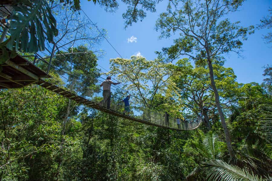 From Puerto Maldonado: Tambopata National Reserve 2-Day Tour - Key things to know before you go