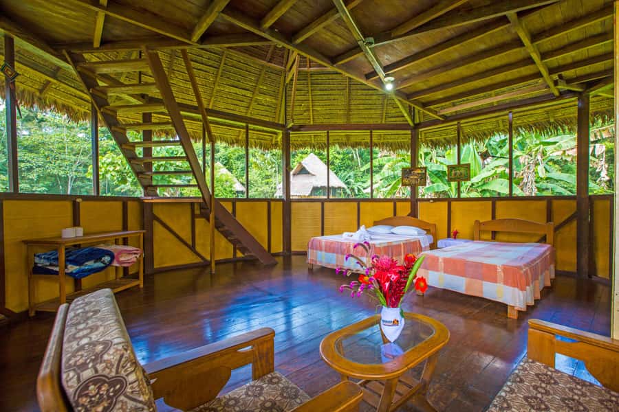 From Puerto Maldonado: Tambopata National Reserve 2-Day Tour - Amazon basics: what a 2-day Tambopata run really feels like