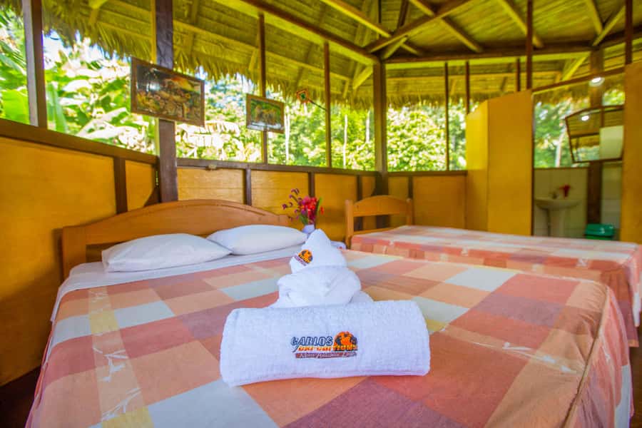 From Puerto Maldonado: Tambopata National Reserve 2-Day Tour - Sandoval Lake by rowing boat: aiming for giant otters and more