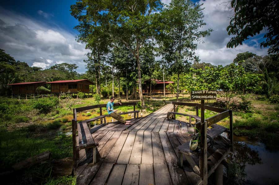 From Puerto Maldonado: Tambopata National Reserve 2-Day Tour - Price and logistics: where the $220 value really comes from