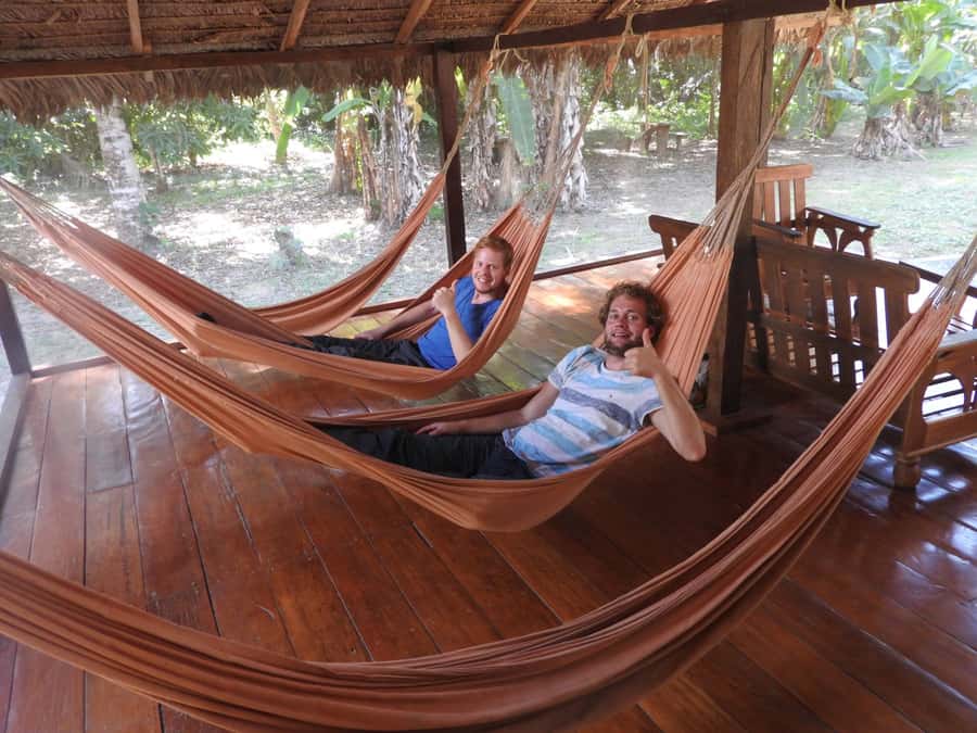 From Puerto Maldonado: Tambopata National Reserve 3-Day Tour - Day Three’s canopy and suspension bridge walk: higher views, real footpath time