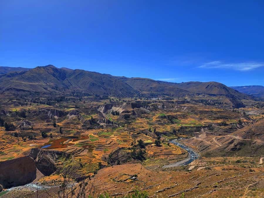 From Puno: 2-Day Tour to Colca Canyon ending in Arequipa - From Puno’s 6:00 a.m. start to Chivay: quick, efficient travel