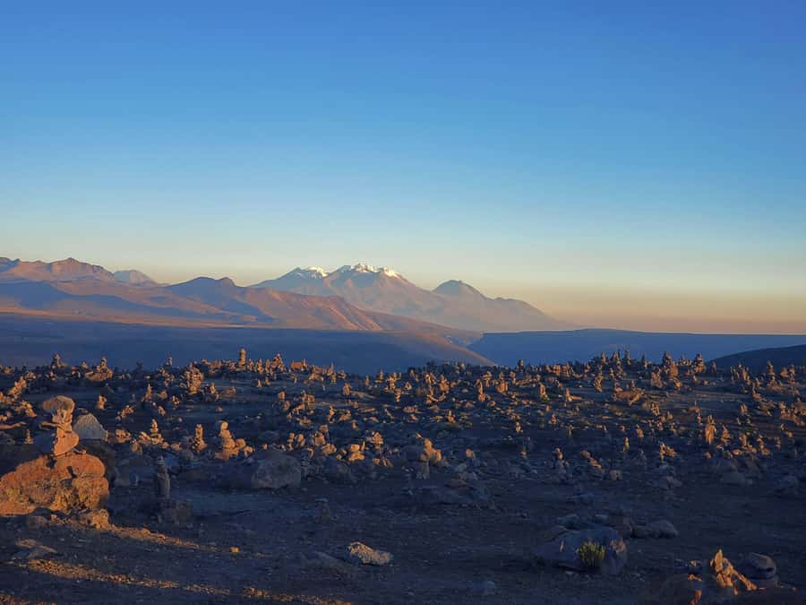 From Puno: 2-Day Tour to Colca Canyon ending in Arequipa - Price and what you really get for $99