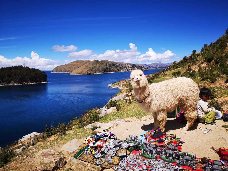 From Puno: Sun Island and Copacabana 1-Day Tour - Key things I’d mark on your travel checklist