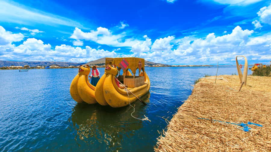 From Puno: Travel to Cusco in Titicaca Train All Inclusive - Who should book this Titicaca train day
