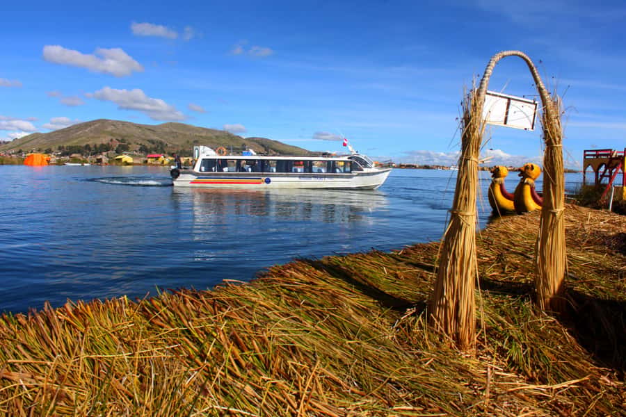 From Puno: Uros floating islands half Day tour - What to Bring (and What Not to Do) on Lake Titicaca
