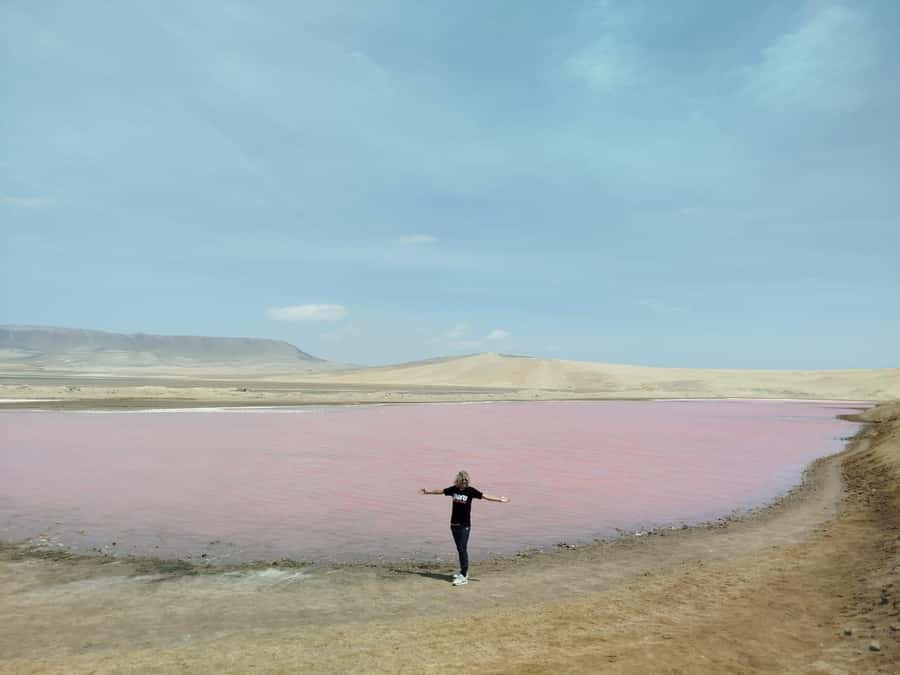 From San Martin Port: Ballestas Island & Paracas Reserve - San Martín Port pickup and the El Chaco speedboat jump-off