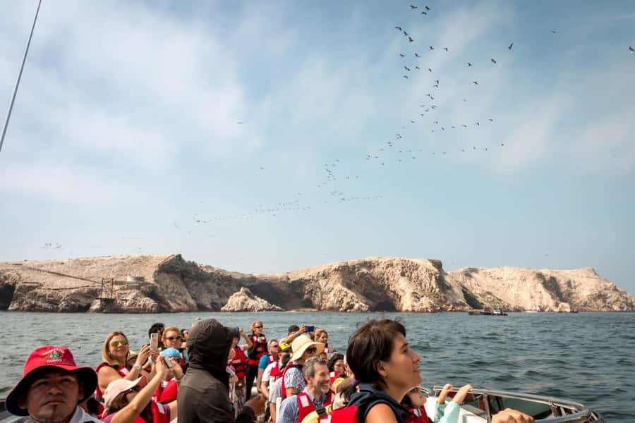 From San Martin Port: Ballestas Island & Paracas Reserve - Ballestas Islands wildlife cruise: penguins, sea lions, and bird action