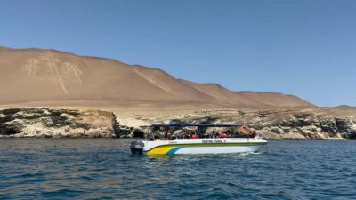 From San Martin Port: Ballestas Island & Paracas Reserve - Candelabro: the 180-meter coastal mystery before the islands