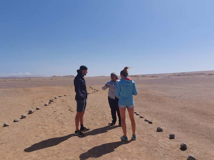 From San Martin Port: Ballestas Island & Paracas Reserve - Price and value: what $74 really buys you in Paracas
