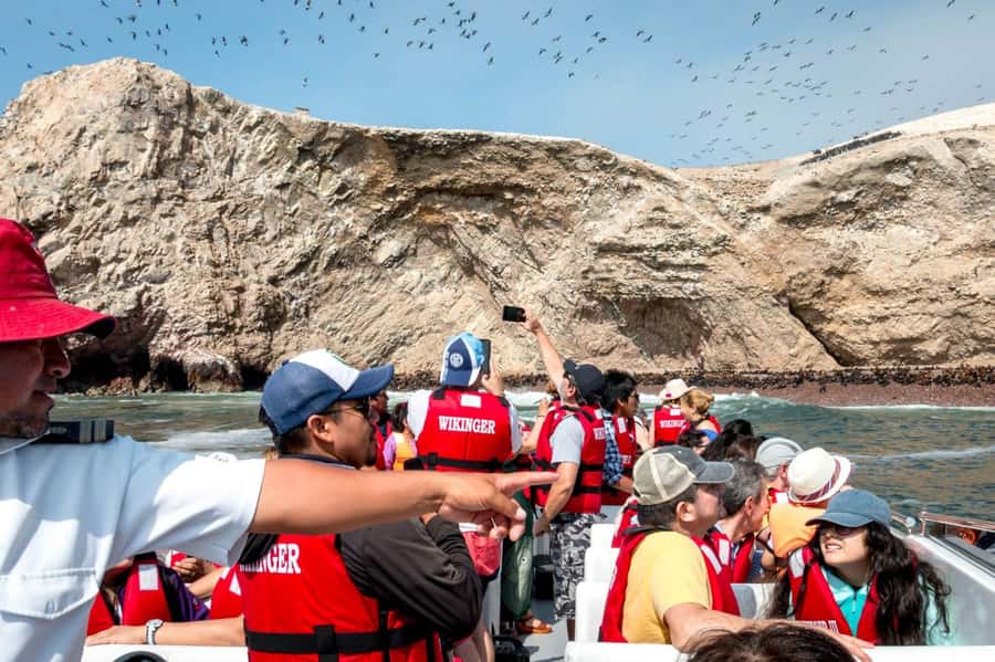 From San Martin Port: Ballestas Island & Paracas Reserve - Language and guide reality: what you should expect before you go