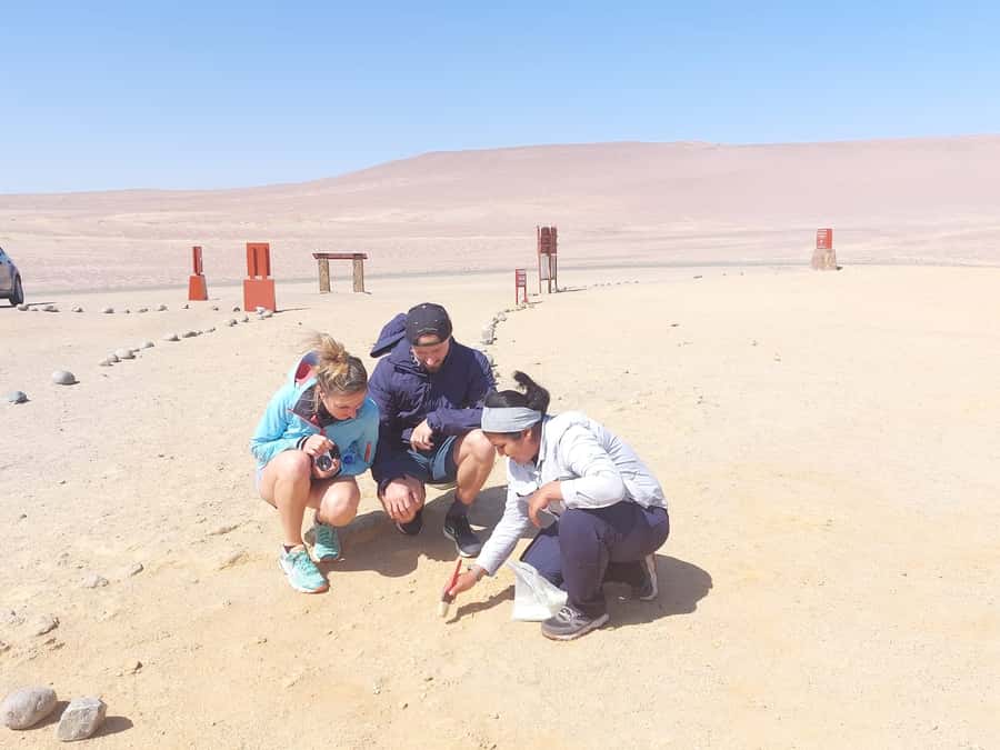 From San Martin Port: Ballestas Island & Paracas Reserve - Packing checklist that matches this specific route