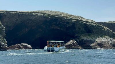 From San Martin Port: Ballestas Islands Tour in Paracas - Speedboat ride: what you’re really signing up for