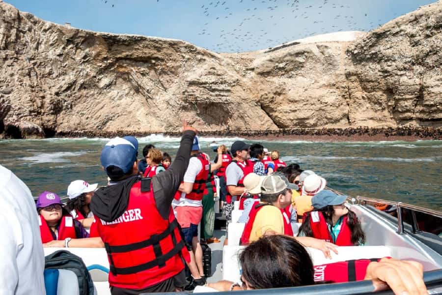 From San Martin Port: Ballestas Islands Tour in Paracas - The guided component: what English-Spanish means in real life