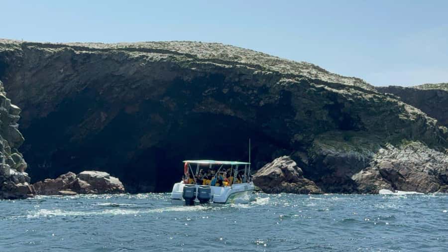 From San Martin Port: Ballestas Islands Tour in Paracas - Speedboat ride: what you’re really signing up for