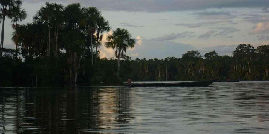 From Tambopata: Amazon Jungle Hike and Lake Sandoval 1-Day - Key points to know before you go
