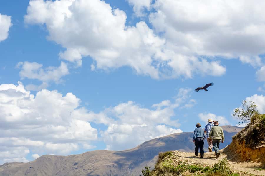 Full-Day Condor Viewpoint & Inca Sites Tour - Quillarumiyoc and Tarawasi: Inca astronomy with a purpose