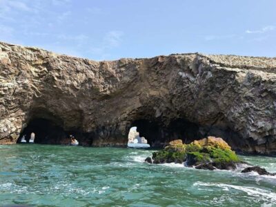FULL DAY PARACAS - ICA - Paracas National Reserve in 4 hours: beaches, viewpoints, and a salty lunch break