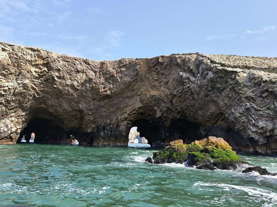 FULL DAY PARACAS - ICA - Paracas National Reserve in 4 hours: beaches, viewpoints, and a salty lunch break