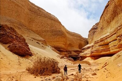 Full Day Tour Canyon of the Lost in Ica Desert - Ocucaje: The Desert With Marine Fossils Buried in It