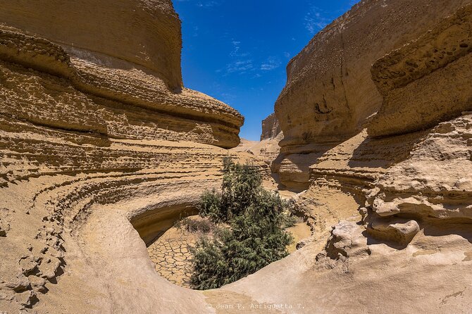 Full Day Tour Canyon of the Lost in Ica Desert - The Ride in a Shared Vehicle: Desert Roads, Bumpy Minutes, Real Advice