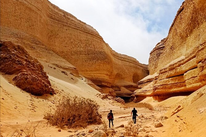 Full Day Tour Canyon of the Lost in Ica Desert - Ocucaje: The Desert With Marine Fossils Buried in It