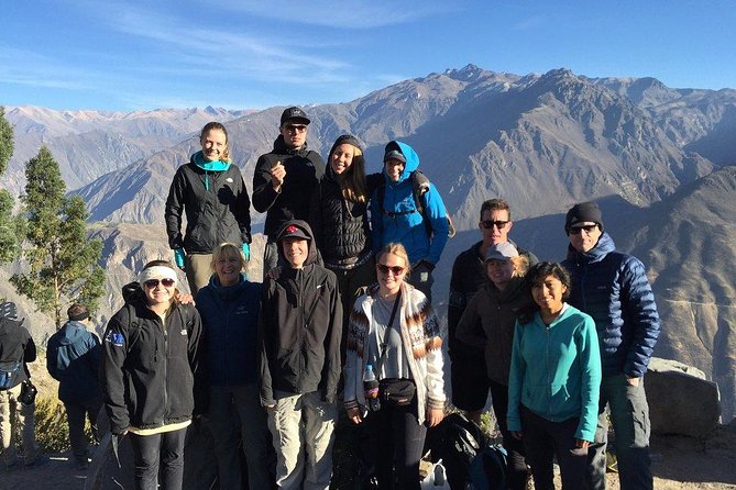 Full Day Tour / Colca Canyon - Pampa Cañahuas and the camelid-and-volcano combo stop