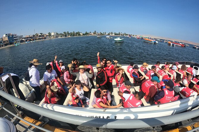 Full day Tour Paracas Ica & Huacachina from Lima. - Paracas and Islas Ballestas: boat wildlife that feels close-up