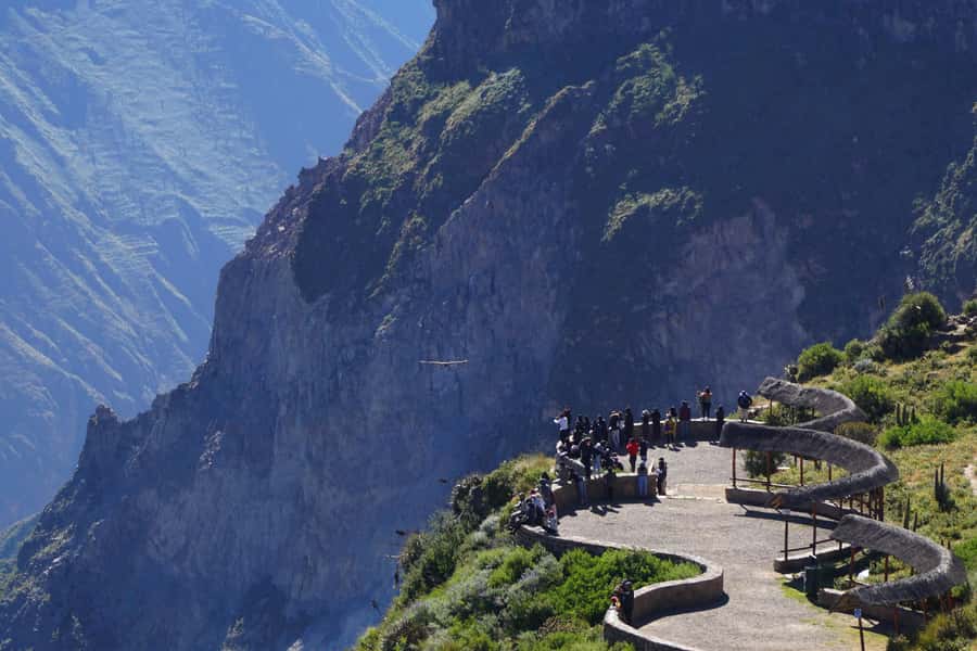 Full Day Trip to Colca Canyon from Arequipa ending in Puno - Why This One-Day Colca Canyon + Puno Plan Makes Sense