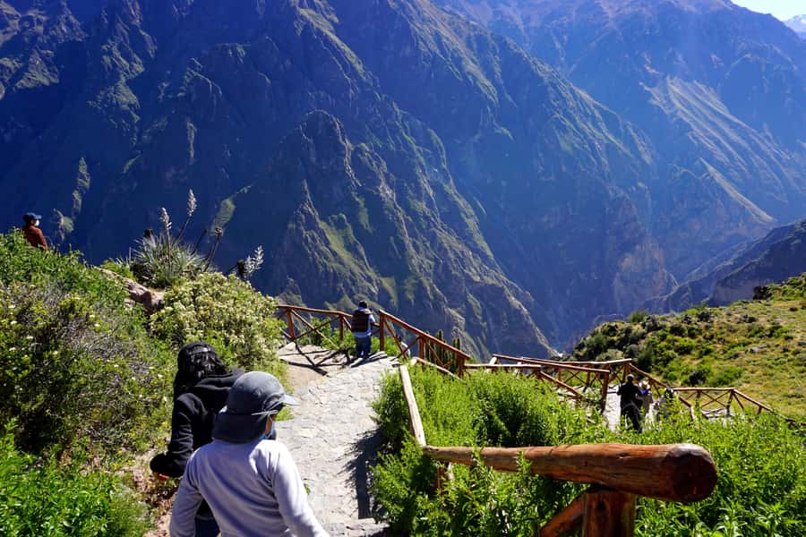 Full Day Trip to Colca Canyon from Arequipa ending in Puno - Comfort, Language, and the Guide Experience You Should Expect