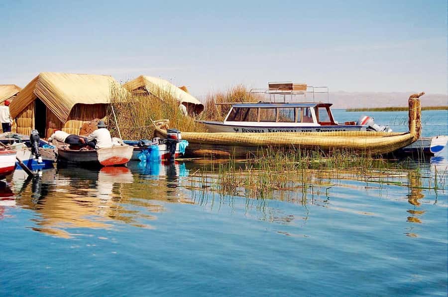 Half Day Guided Lake Titicaca Tour to Uros Floating Islands - First Uros Stop: Reed Engineering and Island Life