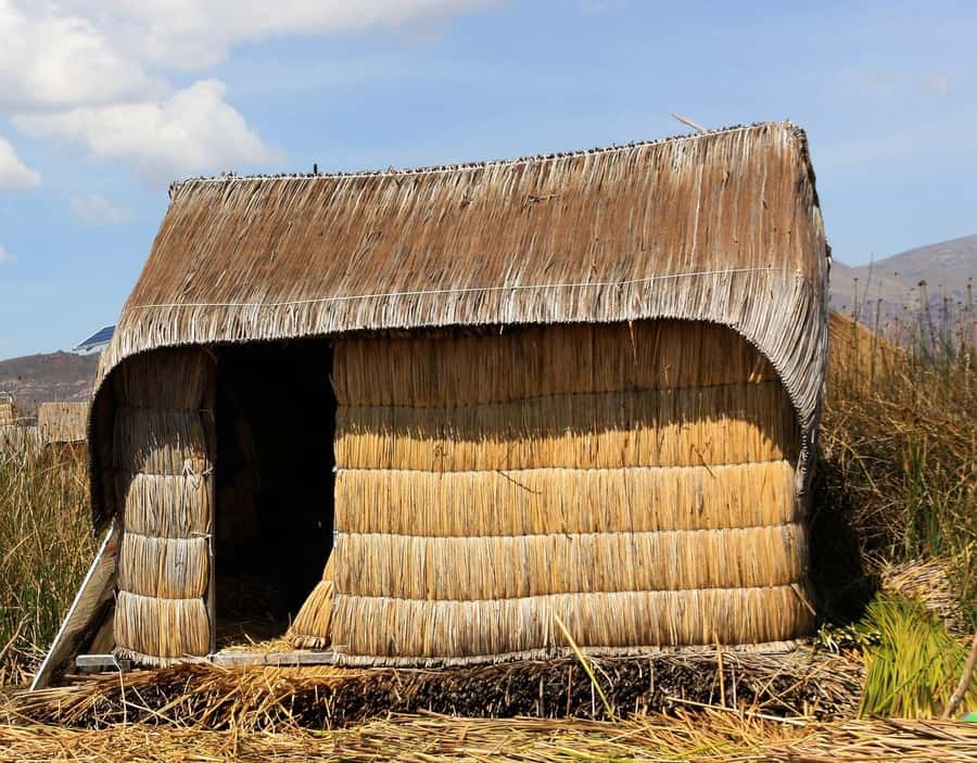 Half Day Guided Lake Titicaca Tour to Uros Floating Islands - Puno Pickup, the Van Transfer, and the Muelle Break