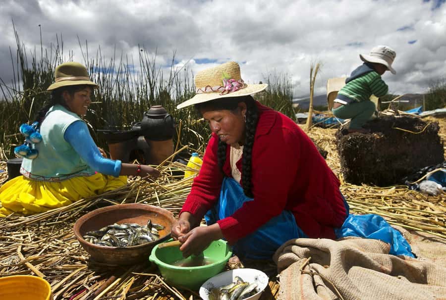 Half-Day Uros Floating Islands Tour from Puno - Key Things You’ll Notice on This Half-Day Tour